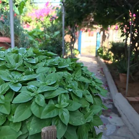 Apartment Sevasti Eborios Kalymnos Emborios