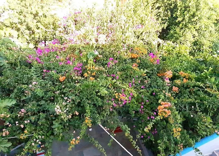 شقة Sevasti Eborios Kalymnos