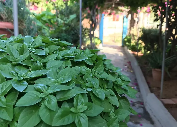 شقة Sevasti Eborios Kalymnos Emborios