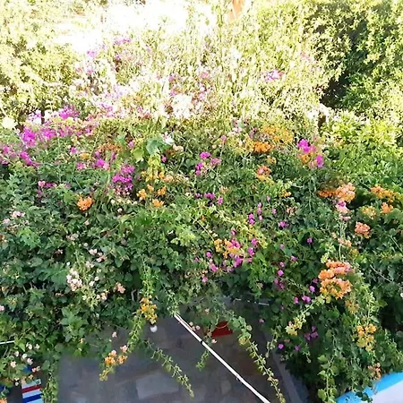 アパート Sevasti Eborios Kalymnos