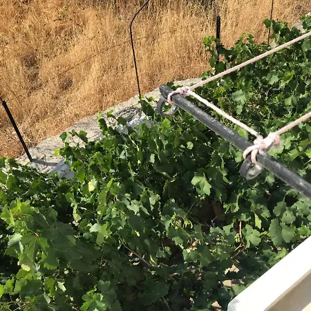 アパート Sevasti Eborios Kalymnos Emborios