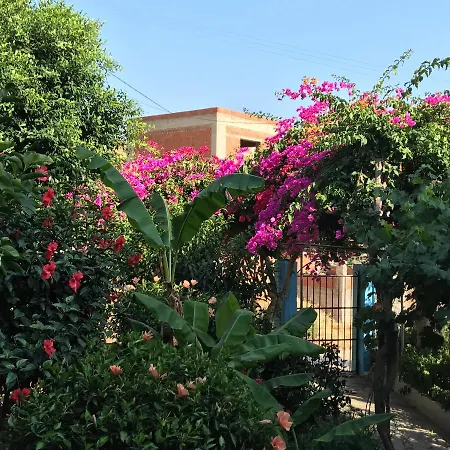 Sevasti Eborios Kalymnos Emboriósz