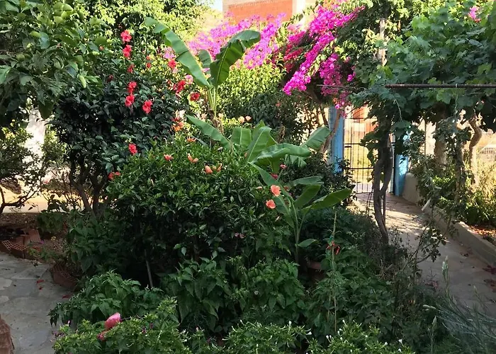 Sevasti Eborios Kalymnos * Emborios